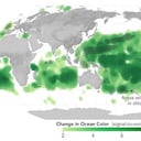 Cambios en el color del océano en los últimos 20 años