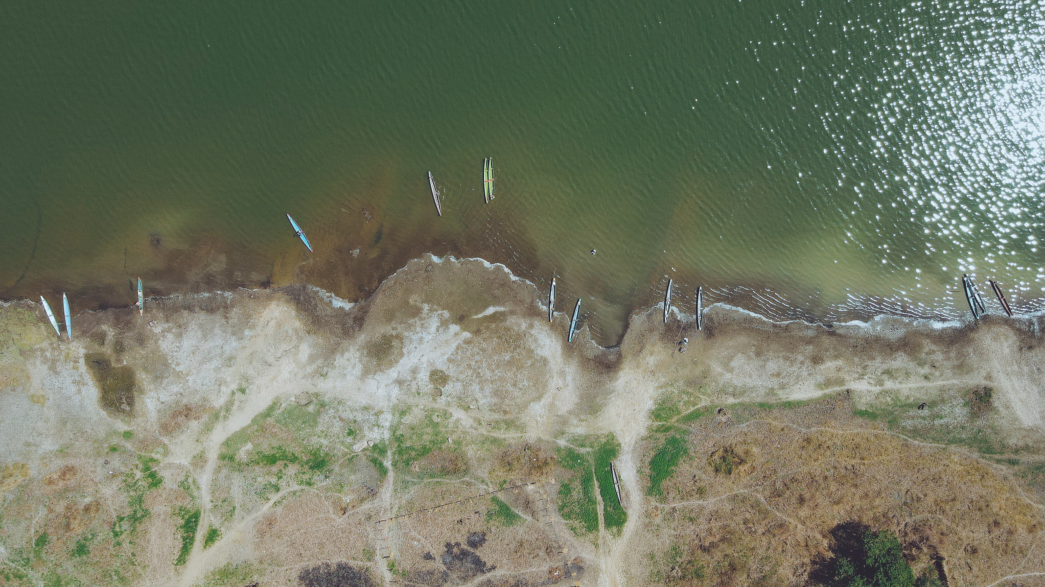 Canal del Dique ambiente