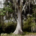 Parque natural El gallineral, en San Gil, Santander.