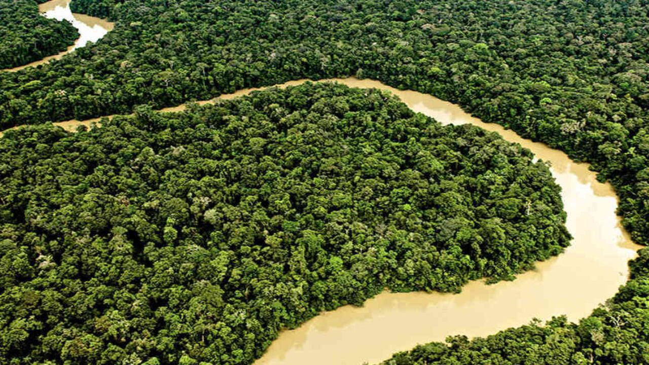 Amazonia colombiana. Foto: Simón González Vélez/Canoa Films