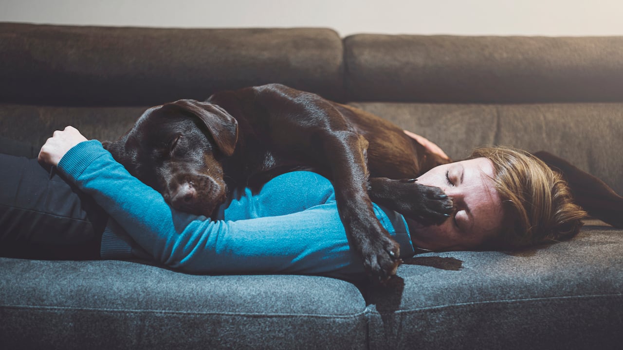 La regularidad del sueño supera a la cantidad como factor de salud clave.