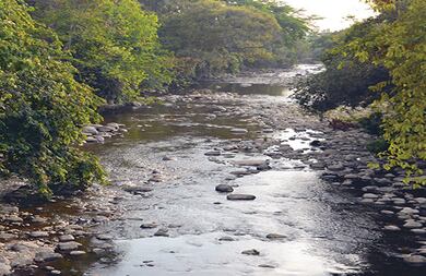 En Aracataca, el distrito de riego capta grandes cantidades de agua del río que distribuye en las plantaciones de palma y banano. Después, el río languidece en la desembocadura de la triste y sola Trojas de Cataca. 