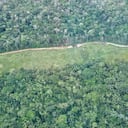 Las zonas más afectadas por la deforestación se encuentran en la Amazonia brasileña y la región de Cerrado en Brasil, la Amazonia boliviana, así como en Paraguay, Argentina, Madagascar y las islas asiáticas de Sumatra y Borneo. Foto: MAAP.