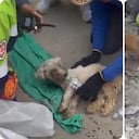 Un video mostró el momento en que rescatistas encontraron con vida a la pequeña sobreviviente.