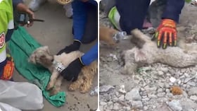 Un video mostró el momento en que rescatistas encontraron con vida a la pequeña sobreviviente.