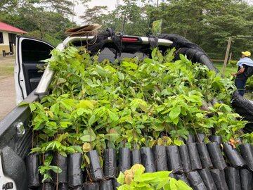 Las CAR hacen llamado a proteger la fauna, en especial durante la época de Semana Santa que es cuando aumenta su comercialización ilegal.