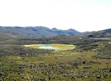 Parque Natural Sumapaz.
