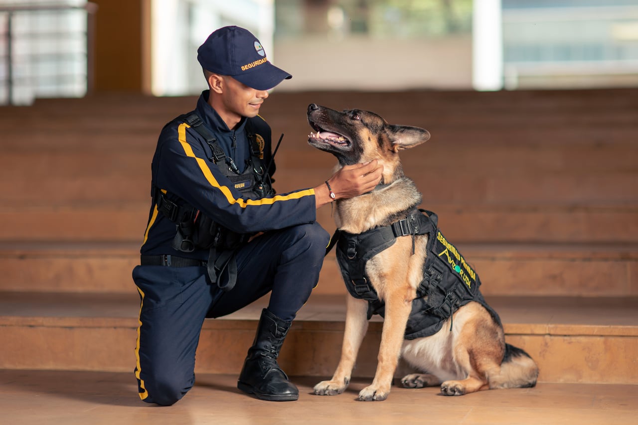 Avizor - API @SantiagoMolinaFotografia