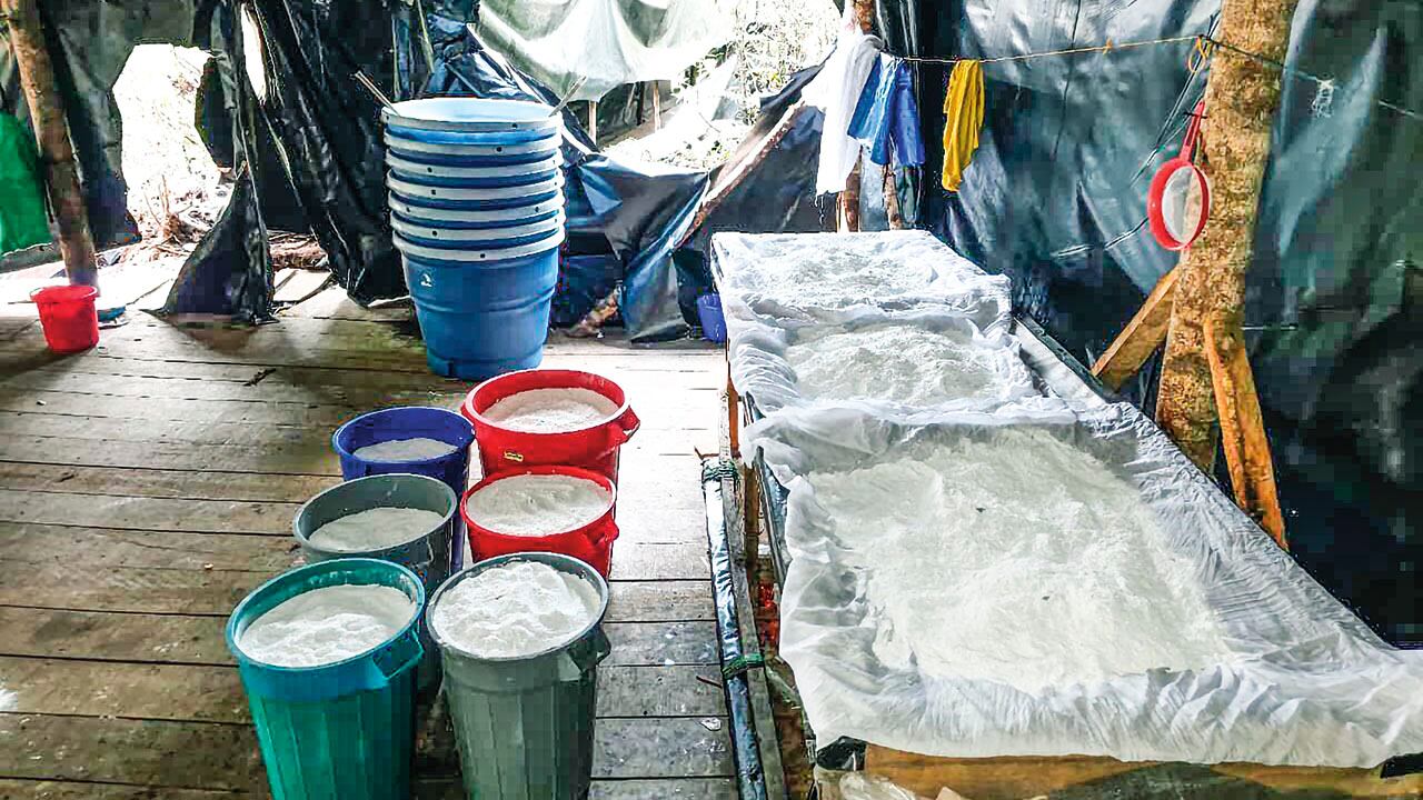 En 16 de los 19 departamentos del país con cultivos de coca hubo un incremento. Cauca y Nariño fueron los más impactados.