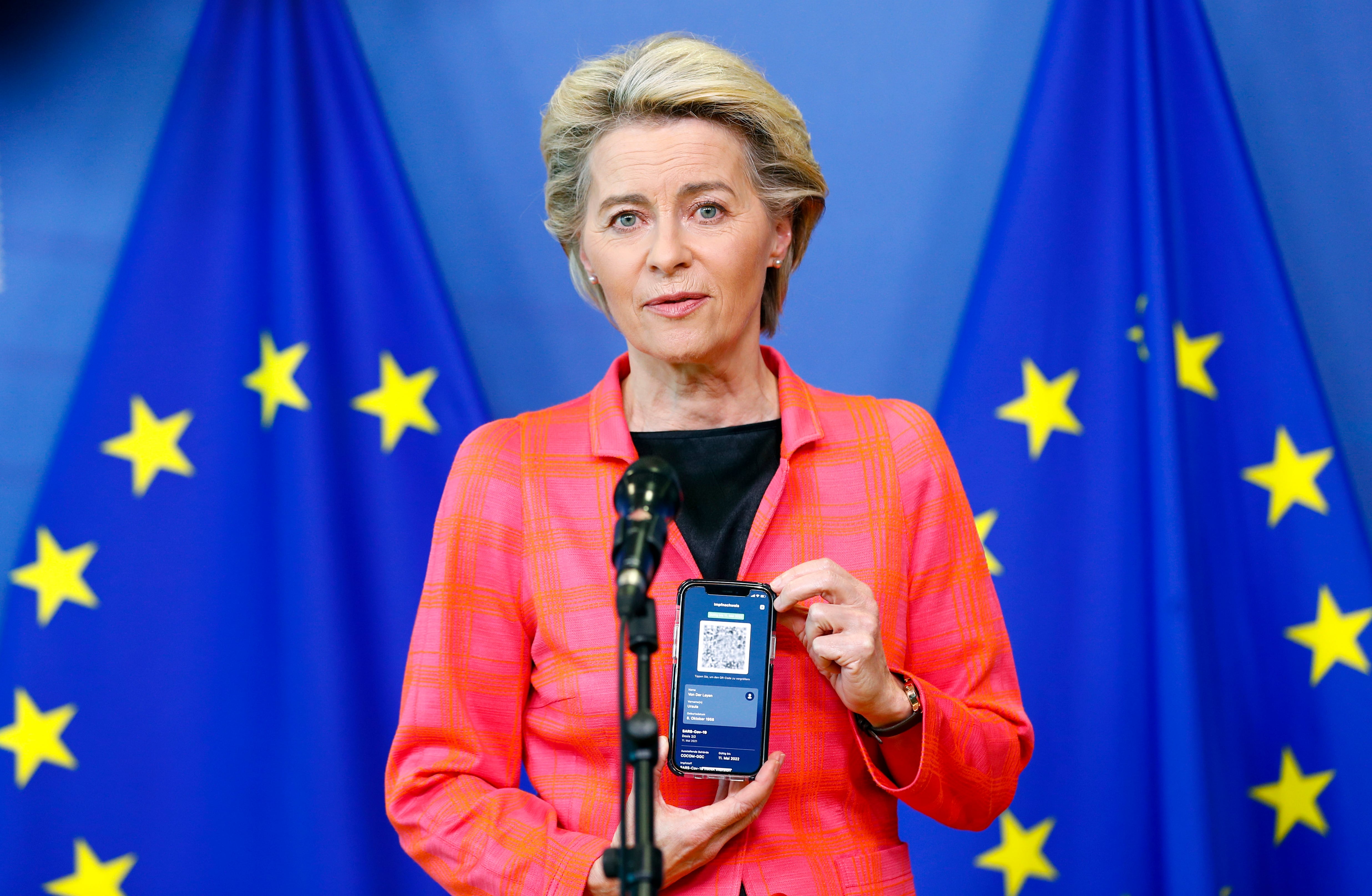 Ursula von der Leyen. (Johanna Geron/Pool Photo via AP)