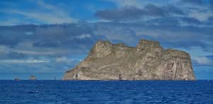 La isla de Malpelo está ubicada en el Océano Pacífico oriental tropical, aproximadamente a 500 kilómetros al oeste del puerto de Buenaventura. En la división político administrativa, pertenece al municipio Buenaventura, Valle del Cauca. El Santuario de Fauna y Flora Malpelo está bajo la administración del Sistema de Parques Nacionales Naturales de Colombia desde 1995, cuenta con sede administrativa en la ciudad de Santiago de Cali y sede operativa en el Distrito de Buenaventura y es Patrimonio Natural de la Humanidad por la UNESCO. Foto Jorge Orozco / El País.