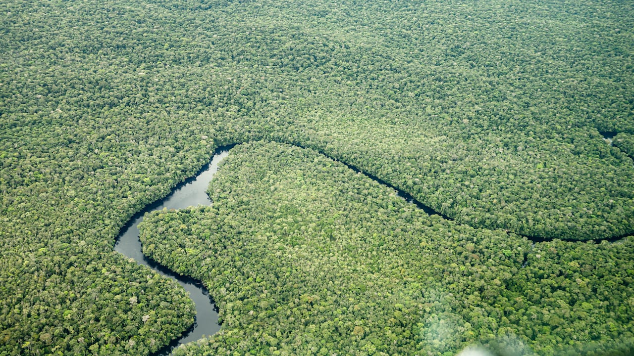 El proyecto BAKAROKARIRE, de la Corporación Masbosques en el Vaupés, espera lograr la remoción de 15.724.369 toneladas de CO2e en 30 años.
