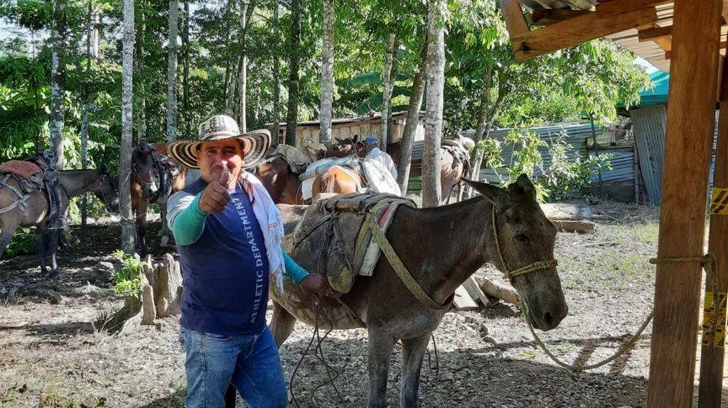 proyecto silvopastoril en Yondó