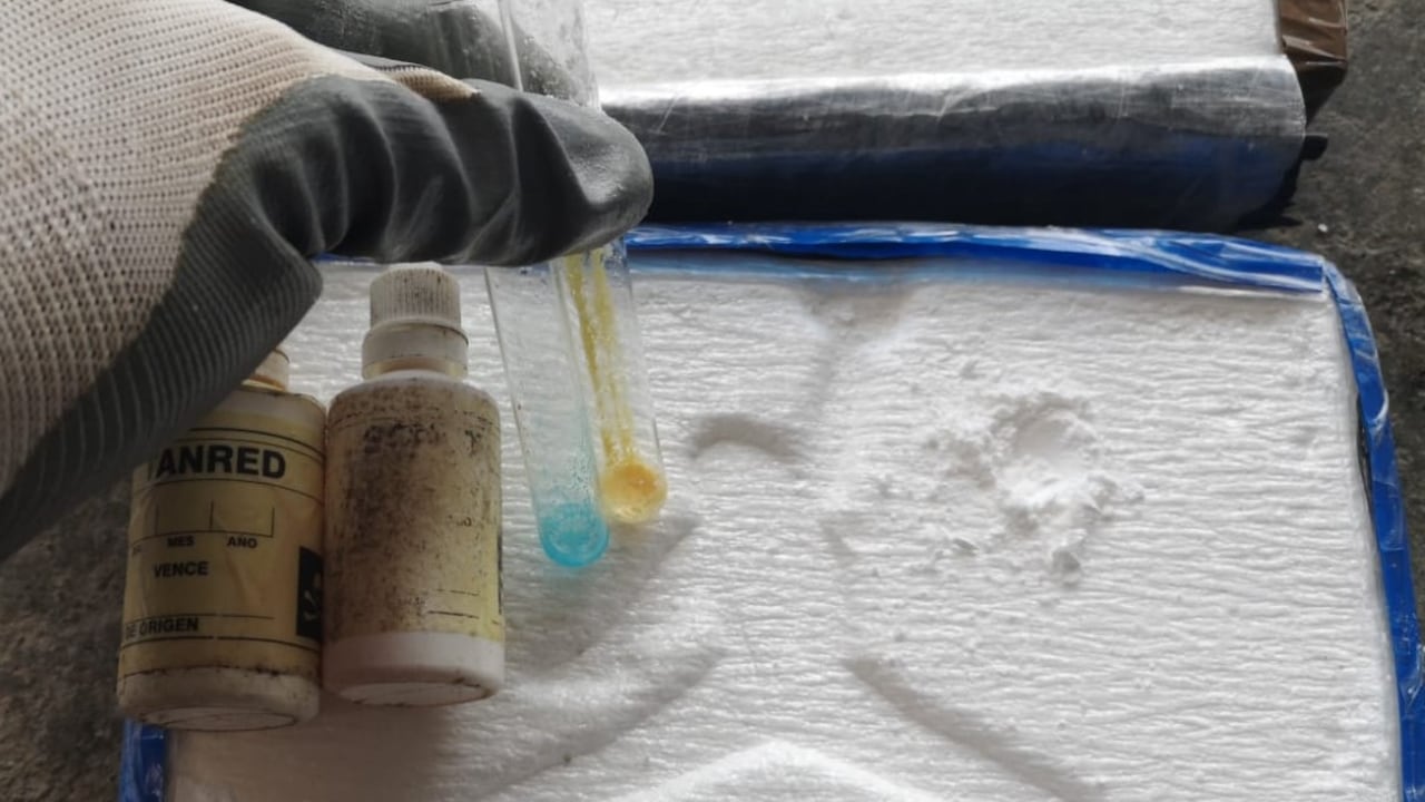 Pese a los operativos de las autoridades, en 2022 se dispararon los cultivos de coca y la producción de cocaína.