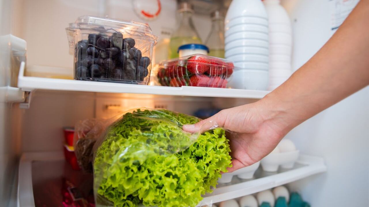 Así se puede mantener fresca la lechuga.