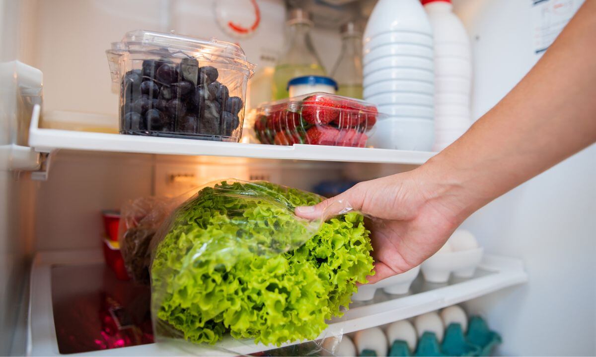 Así se puede mantener fresca la lechuga.