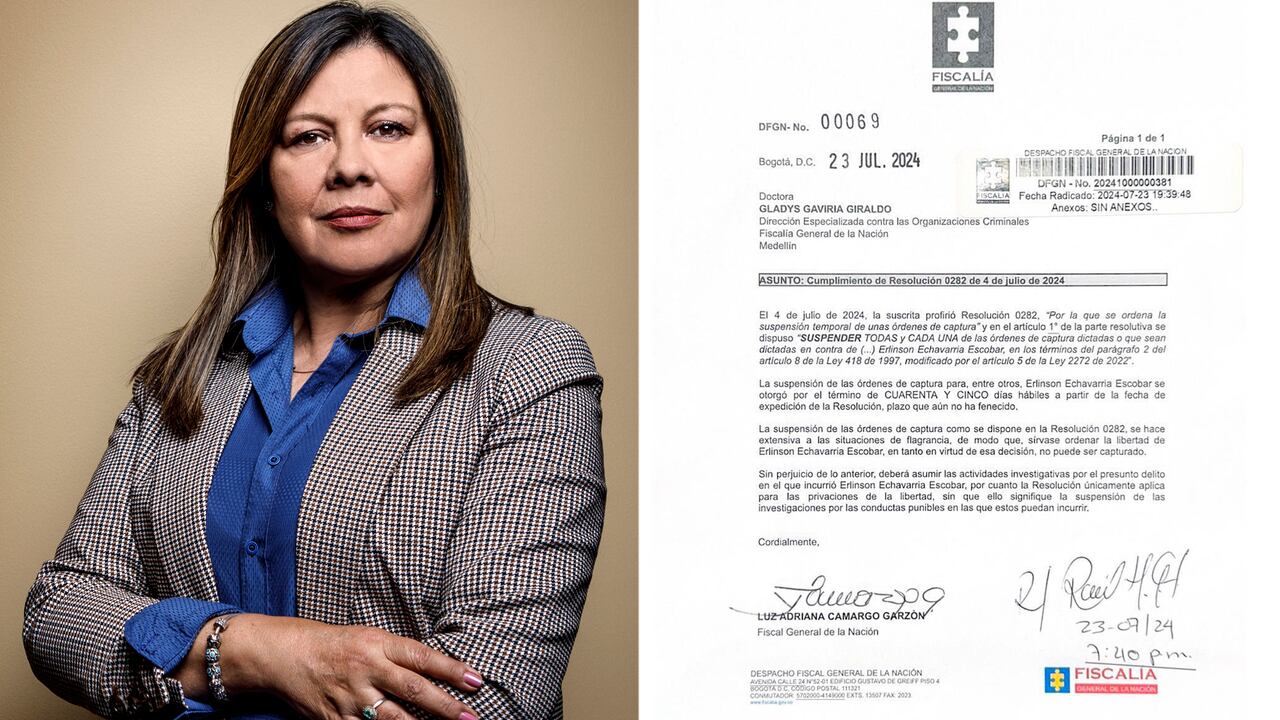 Fiscal Luz Adriana Camargo.