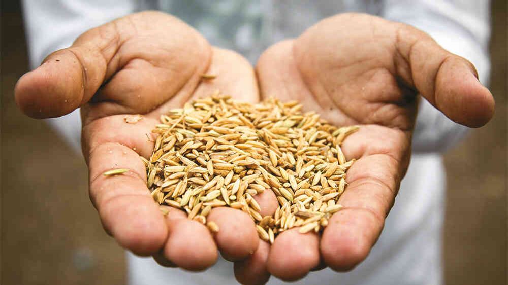 La embajada de Canadá apoya en cuatro proyectos de desarollo rural al Ministerio de Agricultura.