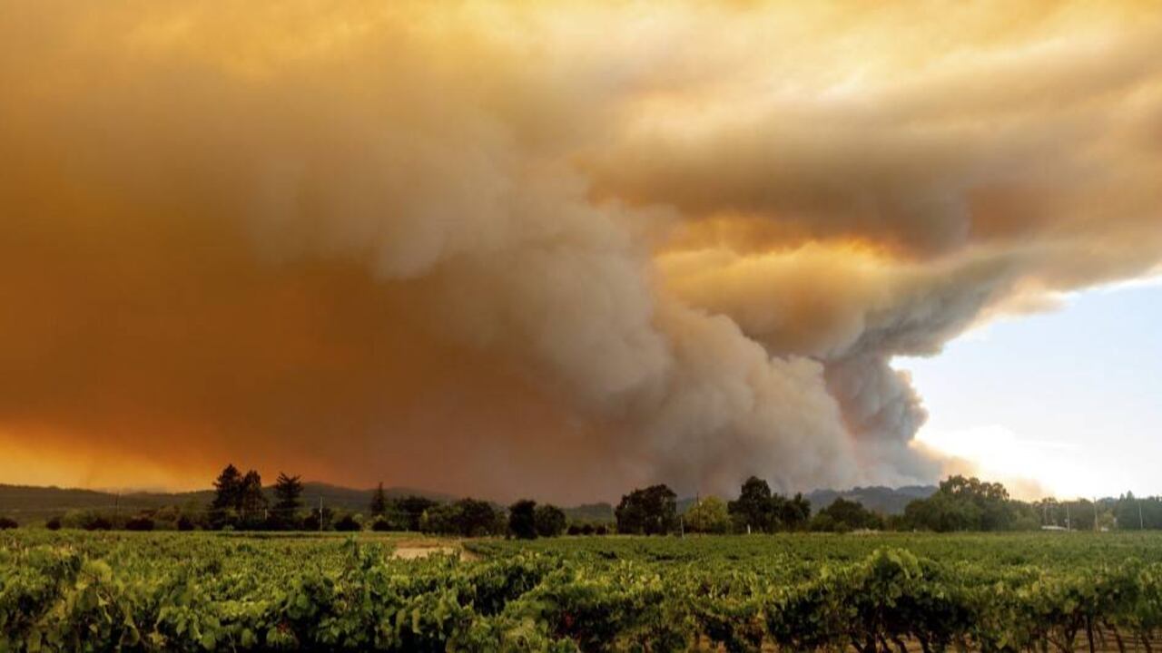 Incendios forestales en California.