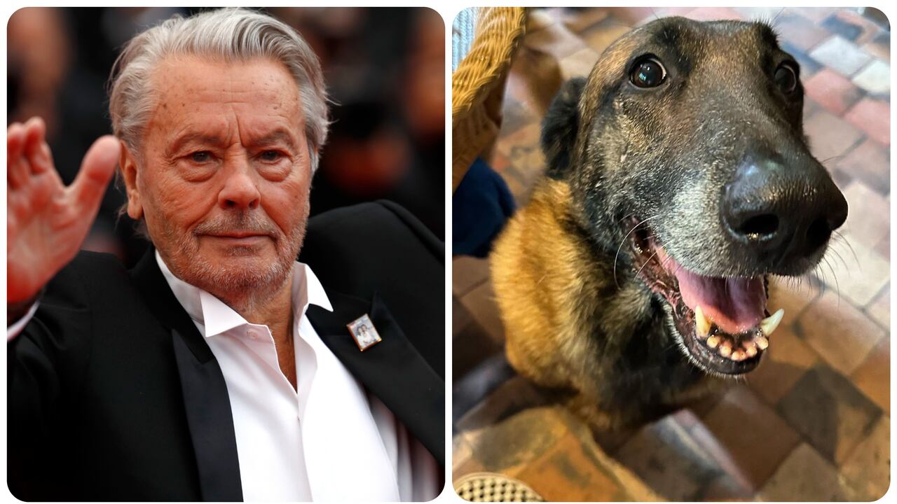 Polémica por el último deseo del actor Alain Delon: sacrificar a su perro y enterrarlo con él, ¿lo permitirá su familia?