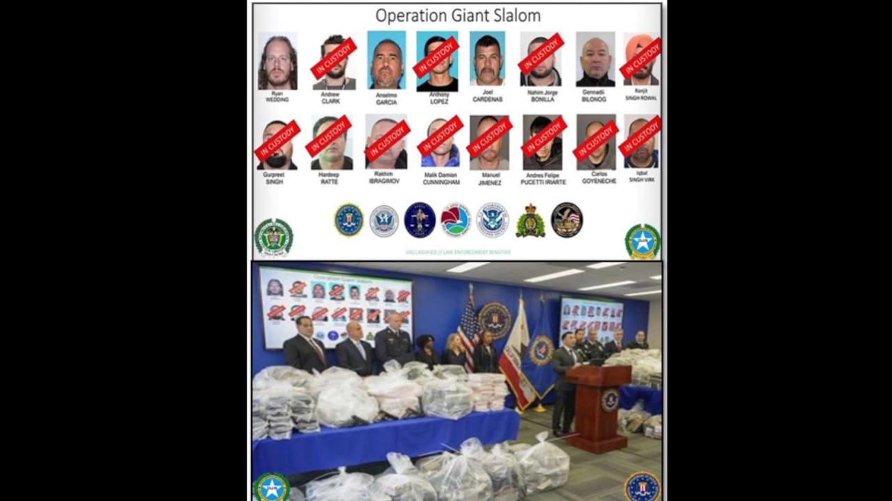 Caen 12 cómplices del exatleta olímpico Ryan Wedding, que traficaba con cocaína desde México.