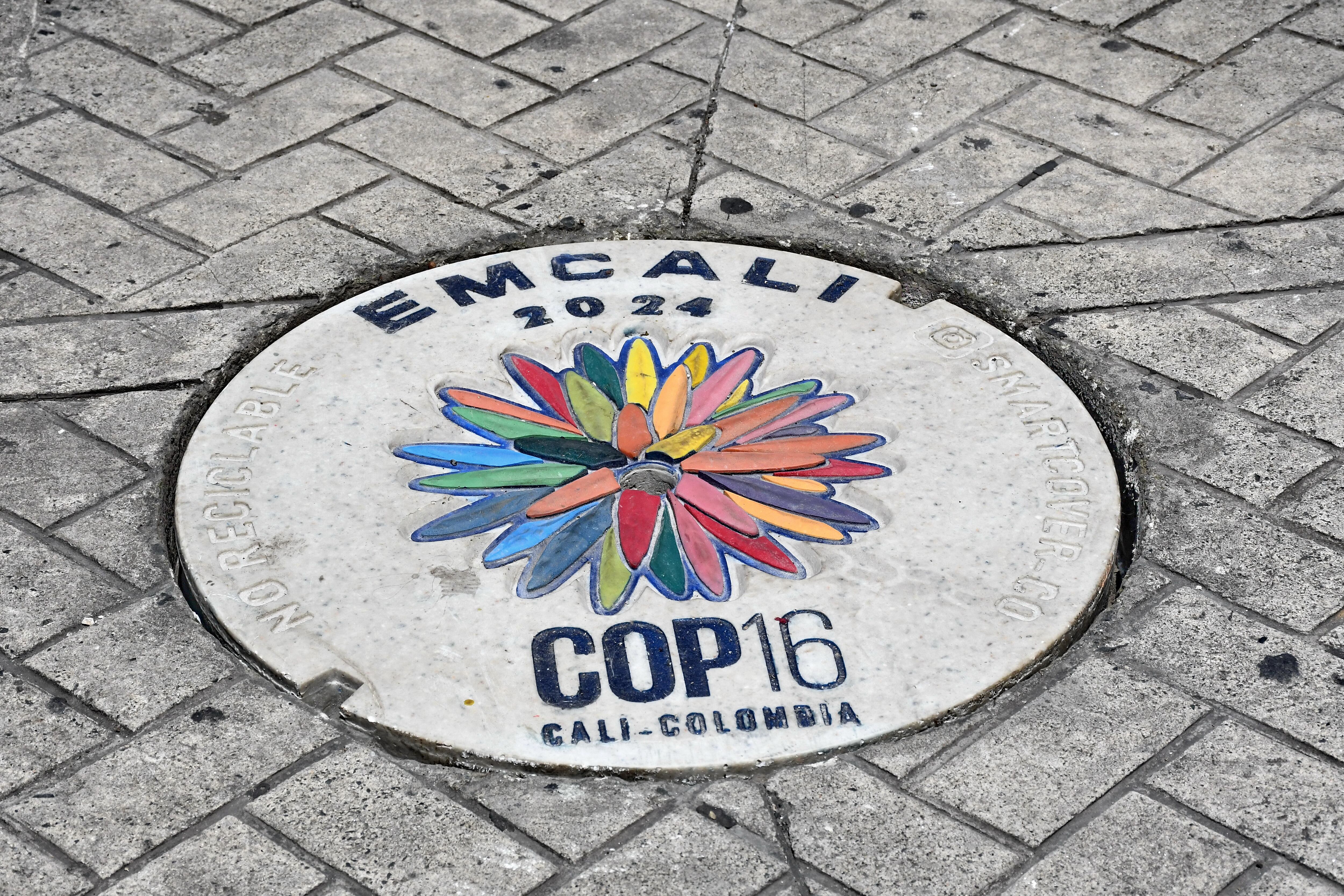 Emcali llevó a cabo hoy la instalación de 98 nuevas tapas de alcantarillado, realizada por el equipo de la Planta de Alcantarillado. Estas tapas están ,diseñadas especialmente para el evento mundial COP16, Fotos Wirman Rios, Octu 16 de 2024, EL PAIS