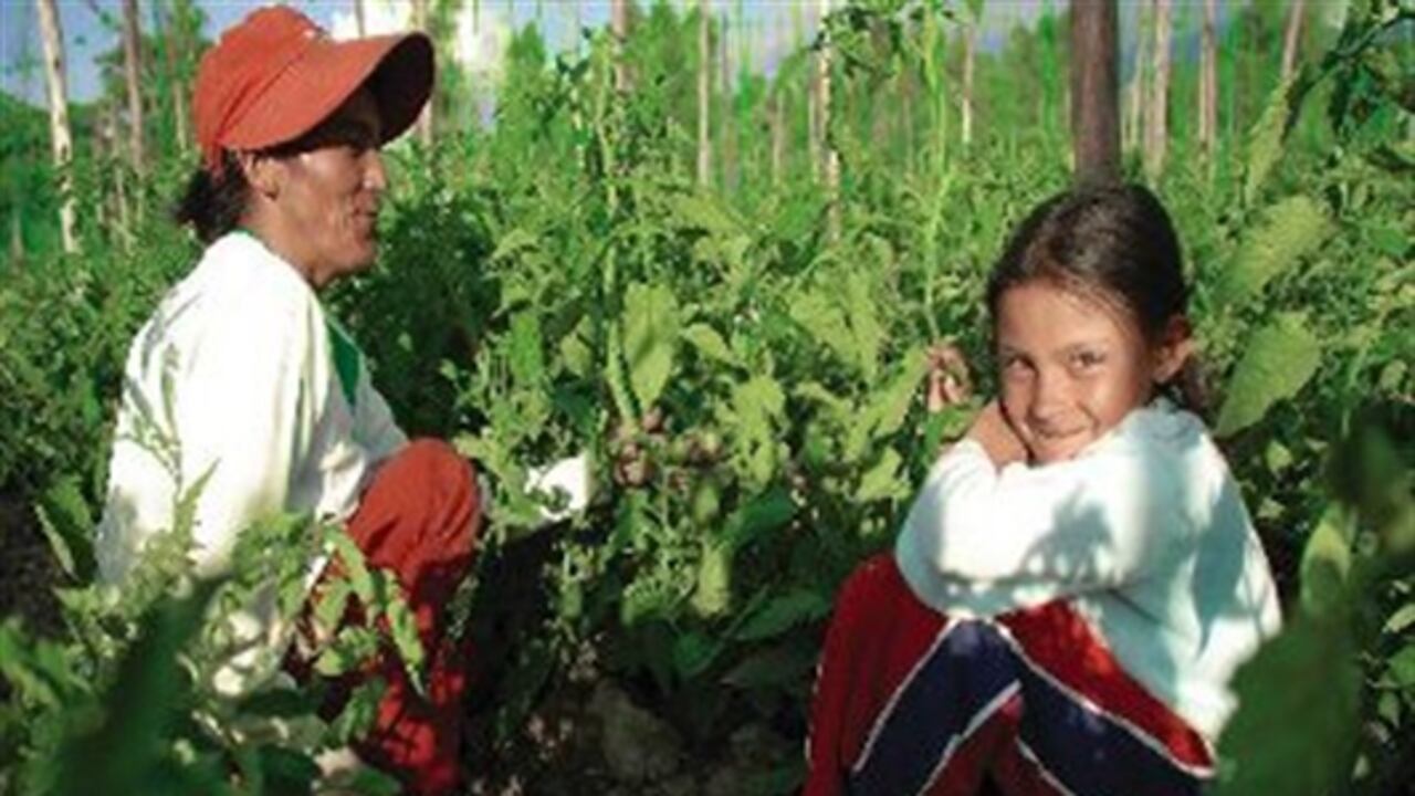 Se ordenó por parte del Gobierno la prohibición para embargo de bienes de los campesinos.
