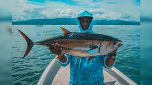 En enero de 2025, Colombia ha logrado un aumento en
las intenciones de exportaciones de productos pesqueros,