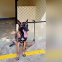 Esta es una de las fotografías de Wilson previo a su envío a la operación Esperanza.