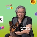 Hernias comunes en perros | Enrique Vallejo en Salud Animal