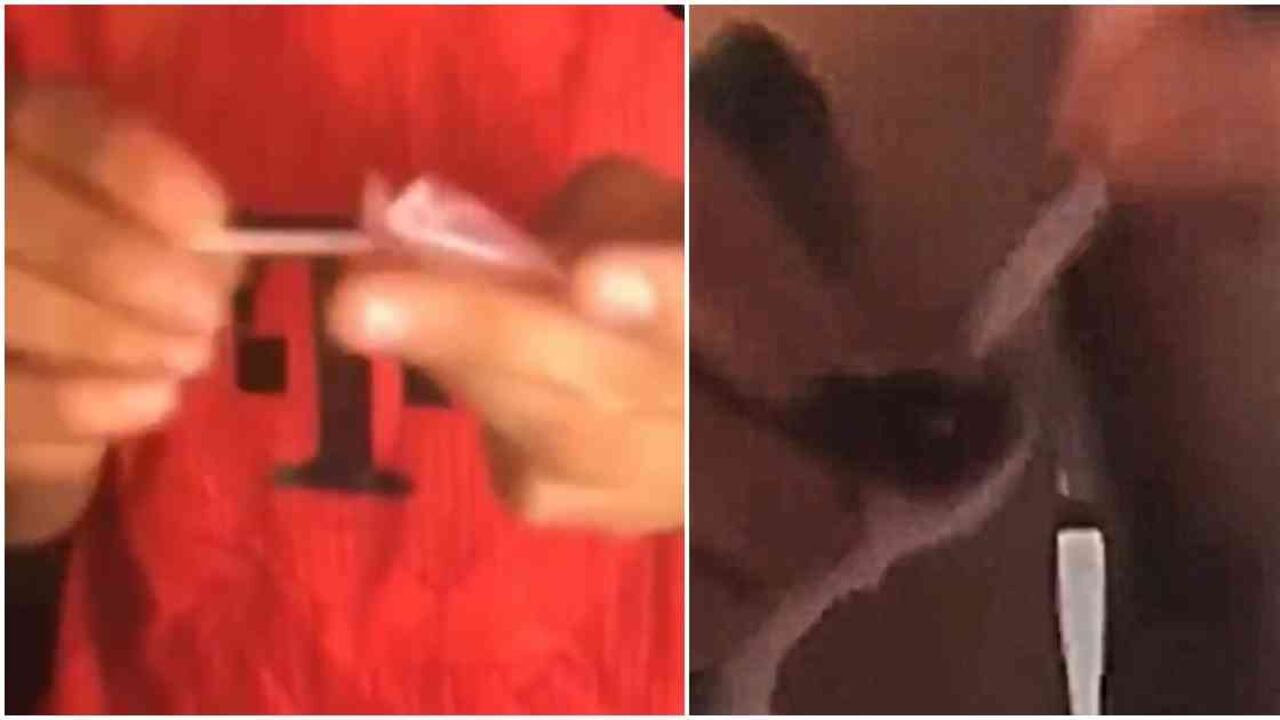 En el video se observa como el perro es obligado a consumir drogas por los jóvenes. Foto: Tomada de video publicado en redes sociales.