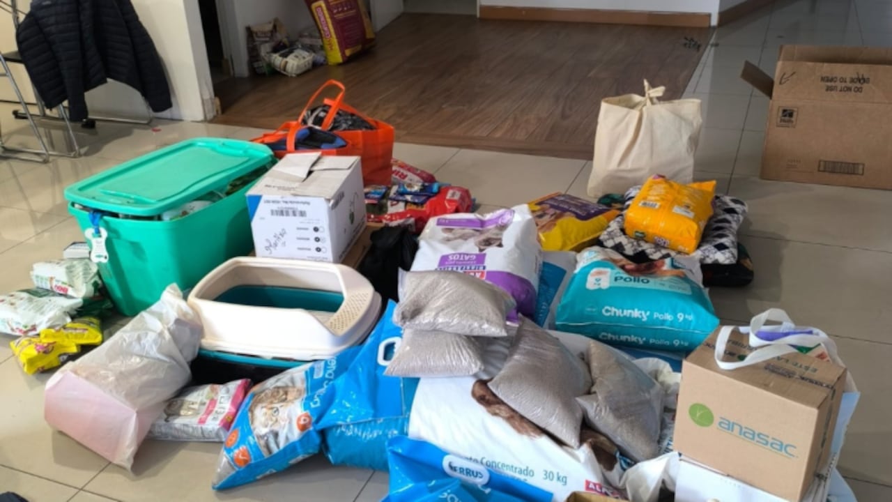 Entre los elementos que pueden ser donados para los animales, se encuentran alimento húmedo y seco, comederos, platos, collares, bozales y traíllas.