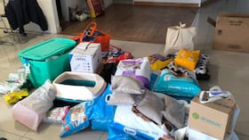 Donaciones para animales afectados.