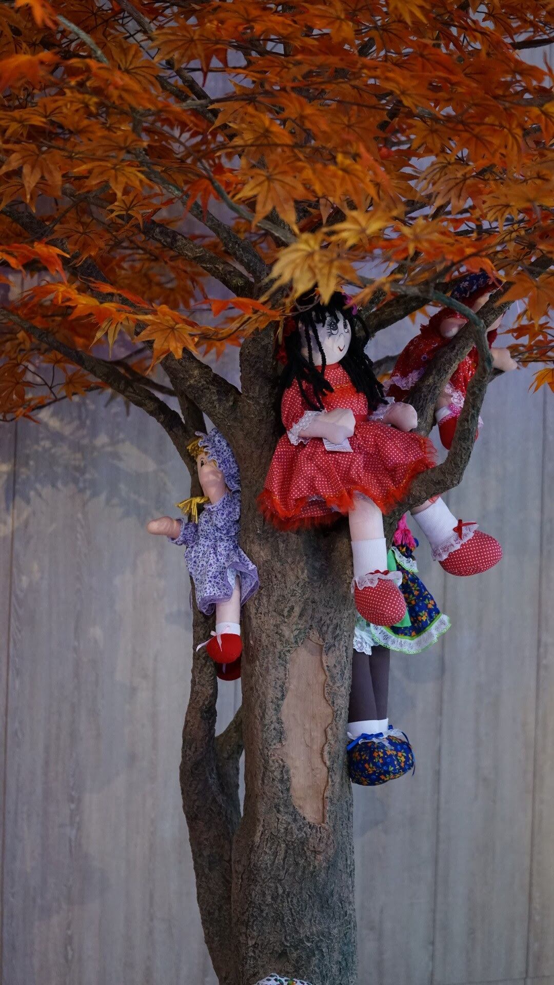 Lanzamiento del Ficci 65 en la Cinemateca de Bogotá. El festival se realizará en Cartagena del 14 al 19 de abril de 2026.