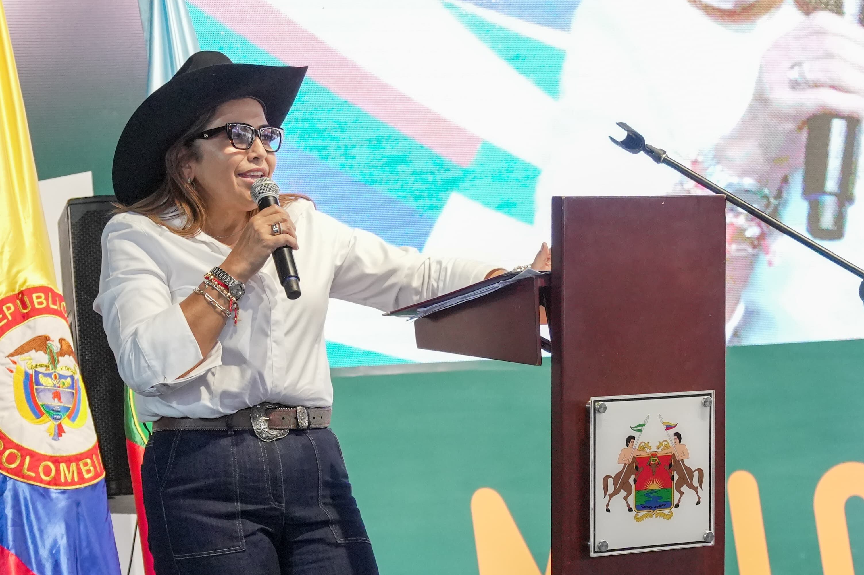 Contenido Comercial Gobernación del Meta - NO USAR