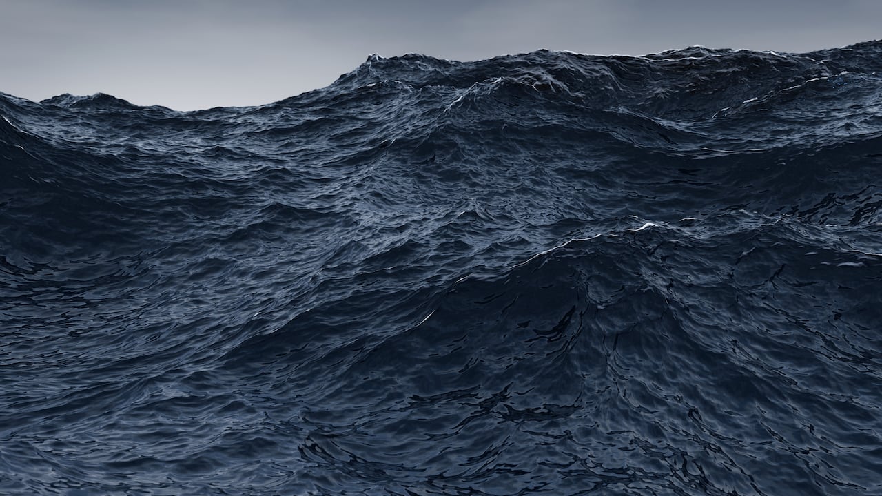 Una quinta parte del océano se oscurece y reduce zonas de vida marina.