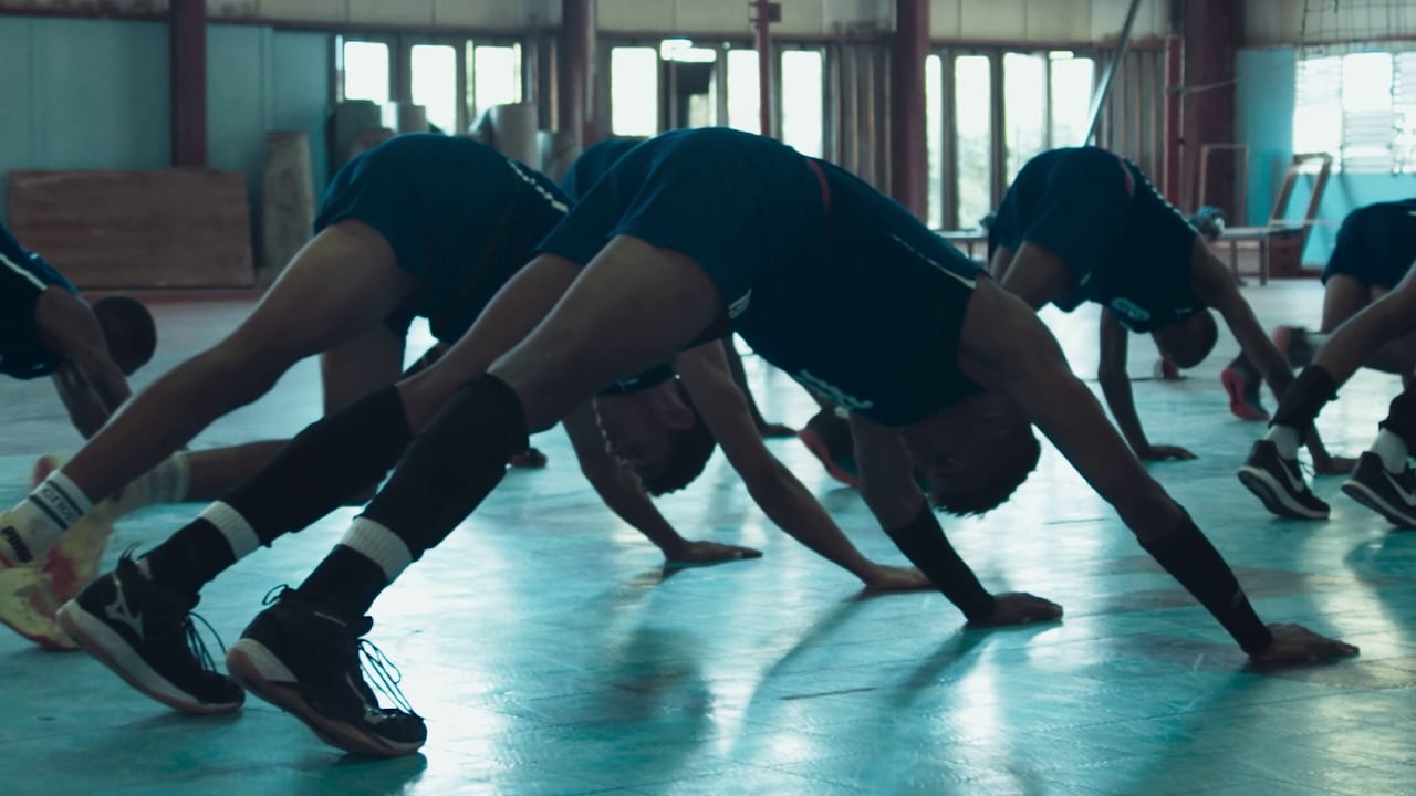 Leinad Pájaro de la Hoz - Un pájaro voló. ©BØLIER FILMS