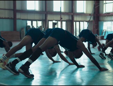 Leinad Pájaro de la Hoz - Un pájaro voló. ©BØLIER FILMS