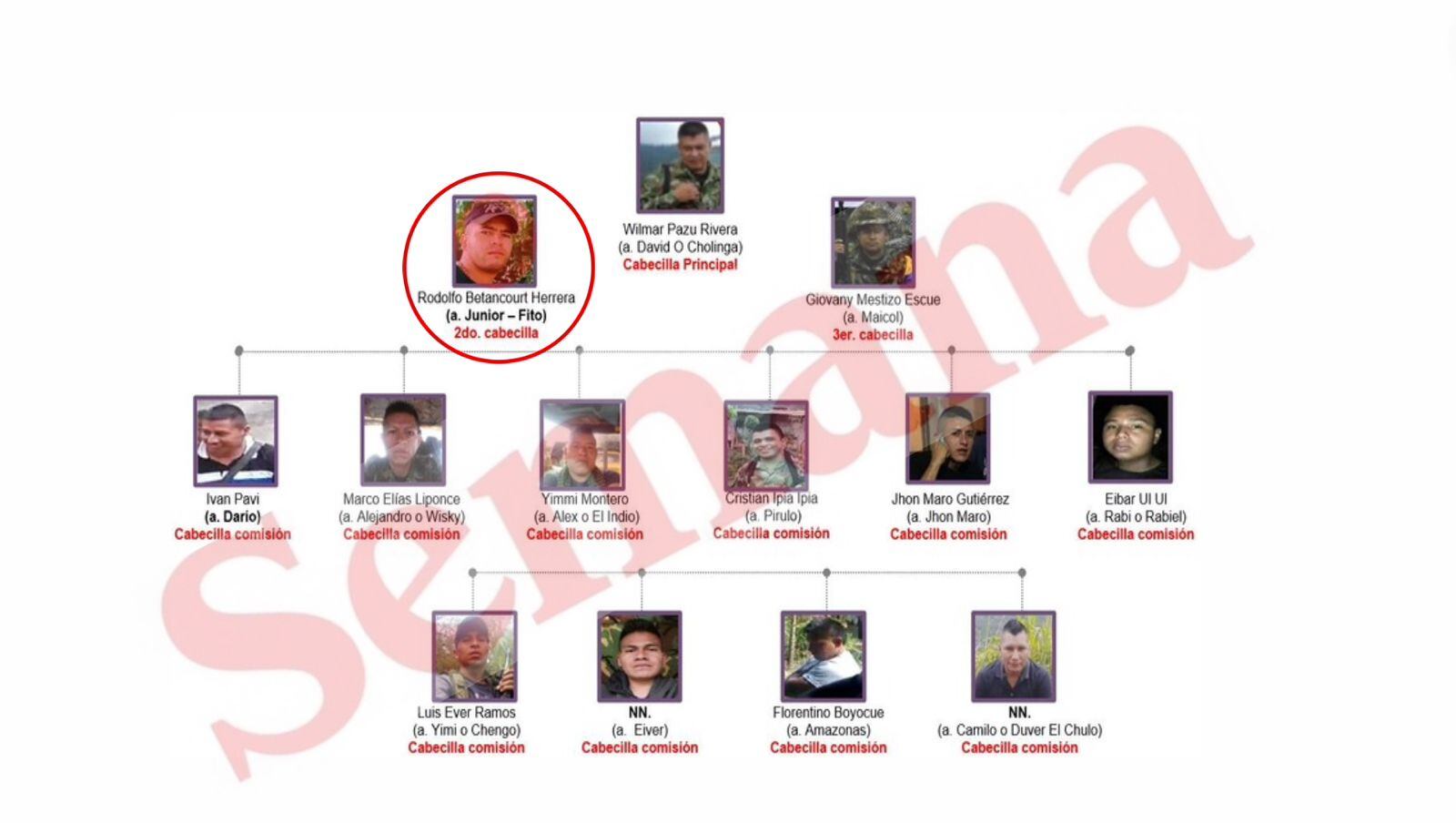 Organigrama de las disidencias de las Farc antes de la baja de alias Fito.