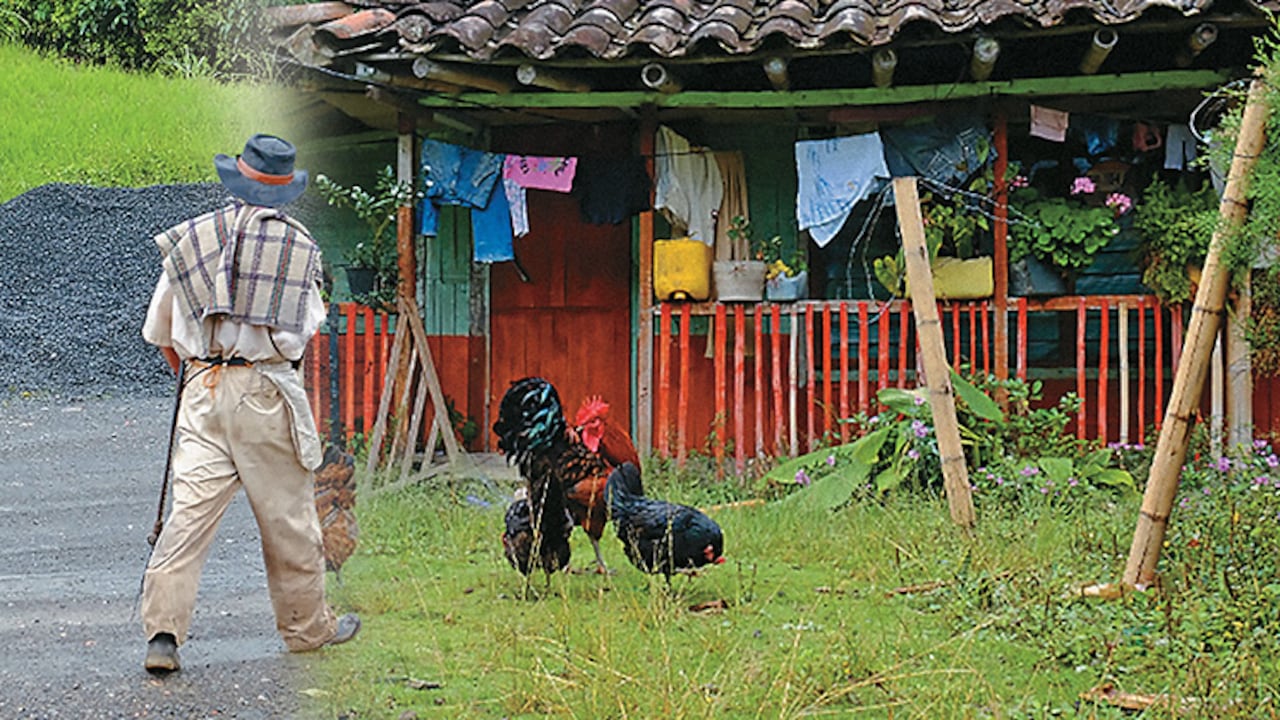 Según el censo, la mitad de las unidades de producción agropecuaria de menos de 5 hectáreas destinó cerca del 60 por ciento de su producción para autoconsumo.