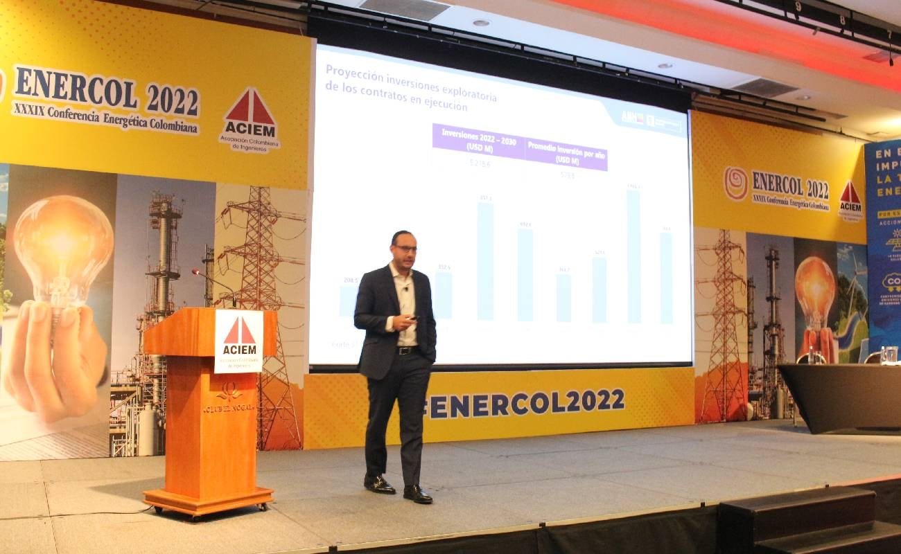 Presidente (e) de la ANH, Andrés Bitar.