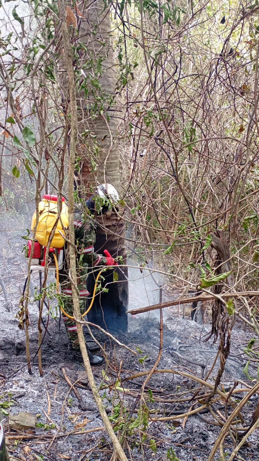 Soldados apagando la conflagración en el Tolima.