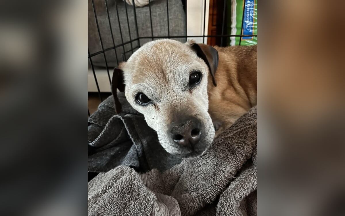 Facebook:@/CodyAlcornNews