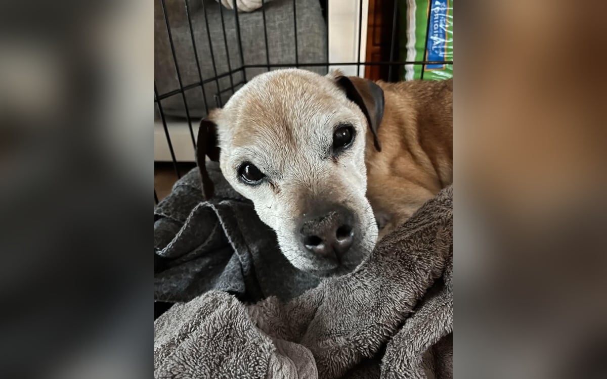 Facebook:@/CodyAlcornNews