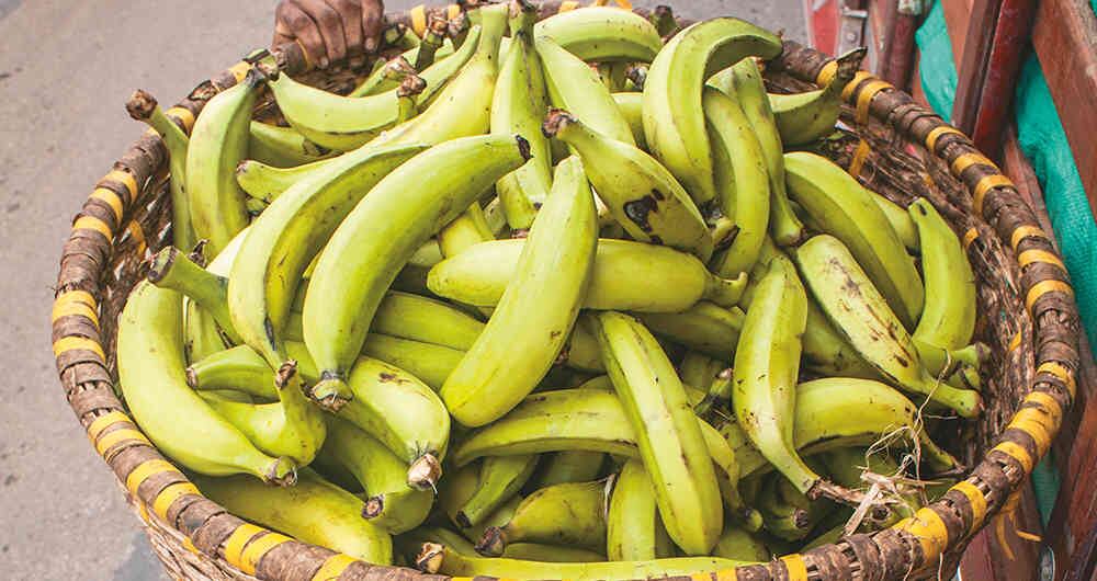 Los bananos producen etileno, un compuesto que lleva a que se descompongan rápidamente