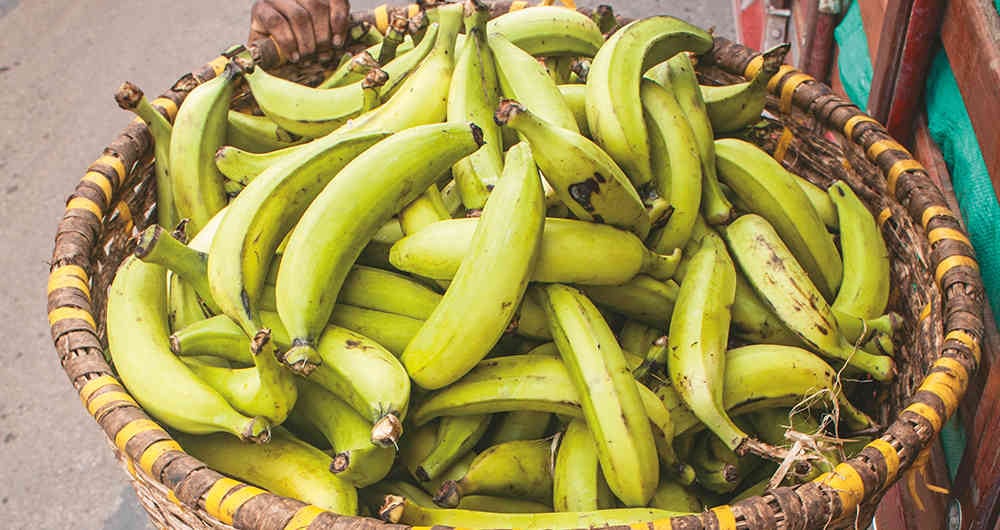 Los bananos producen etileno, un compuesto que lleva a que se descompongan rápidamente