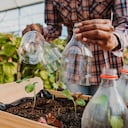 Reutilización de plástico para plantar cultivar sostenibilidad