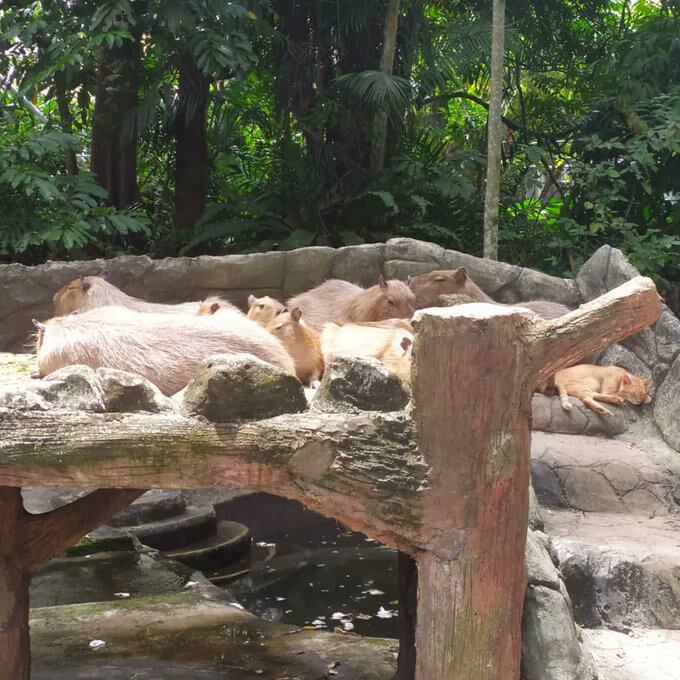 Los visitantes han demostrado su emotividad frente al hecho.