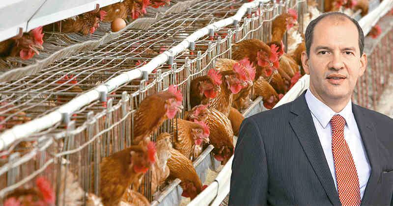 En 2023 se gestó la adquisición de Antillana, aunque la operación se cerró este año. 