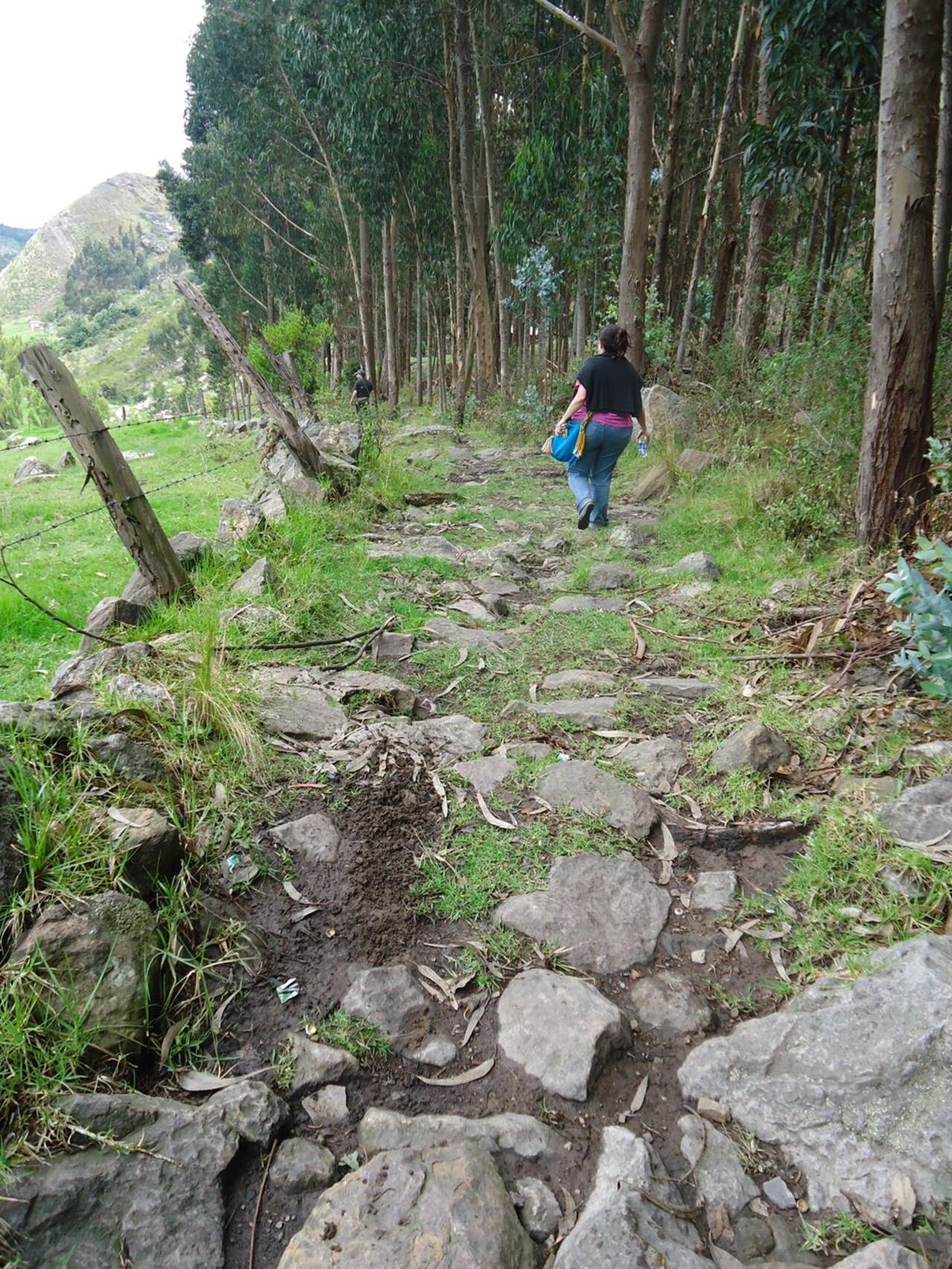 Sutatausa, Cundinamarca